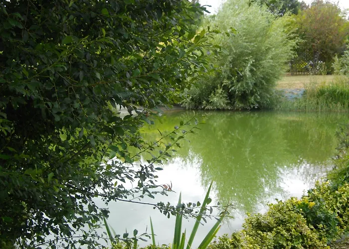 Nyaraló O'gite Bleu Pour 14 Personnes *